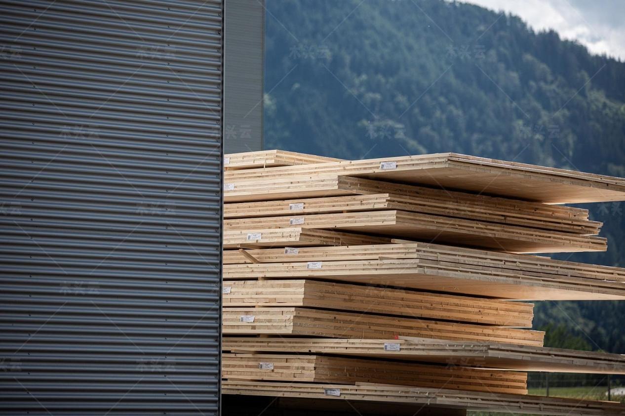 限制俄罗斯木材后，日本政府紧急对转用国内木材