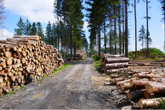 木材需求恢复不及预期