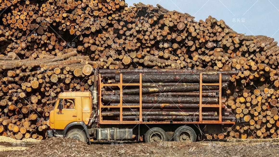 爱沙尼亚进口俄木材只留下10%，剩下的90%去了哪里？