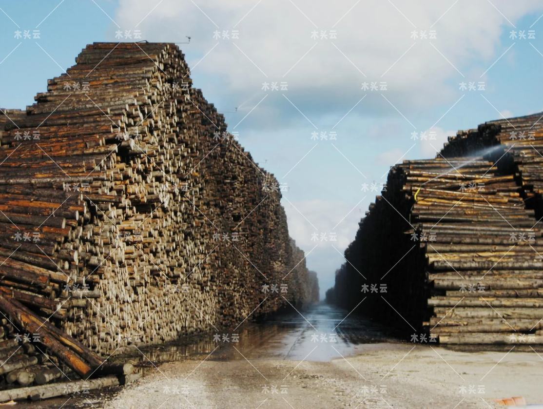 爱沙尼亚进口俄木材只留下10%，剩下的90%去了哪里？