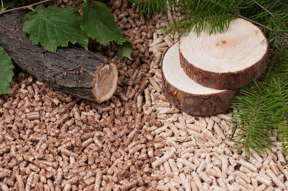 俄罗斯将减少10%的木屑颗粒产量