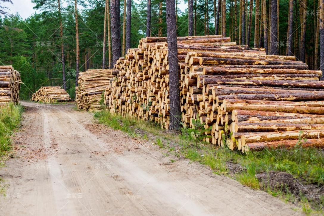 天然气短缺，爱沙尼亚发展桤木充当供暖物资